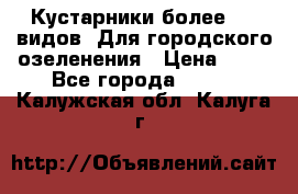 Кустарники более 100 видов. Для городского озеленения › Цена ­ 70 - Все города  »    . Калужская обл.,Калуга г.